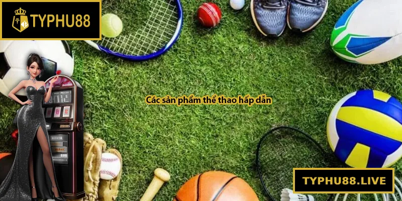 Các sản phẩm thể thao hấp dẫn tại Typhu88