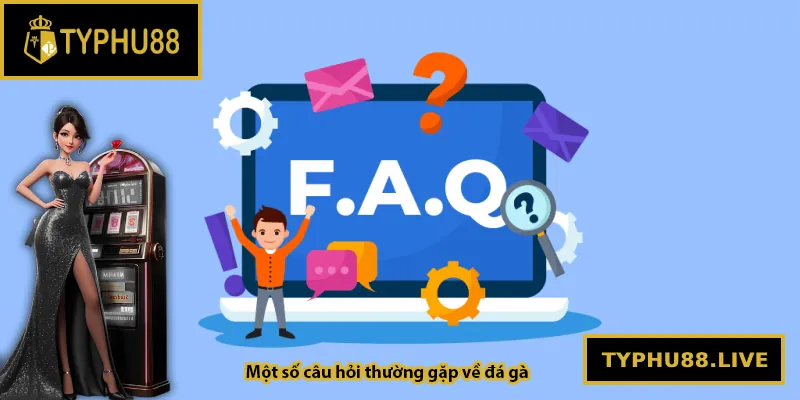 Một số câu hỏi thường gặp về đá gà Typhu88