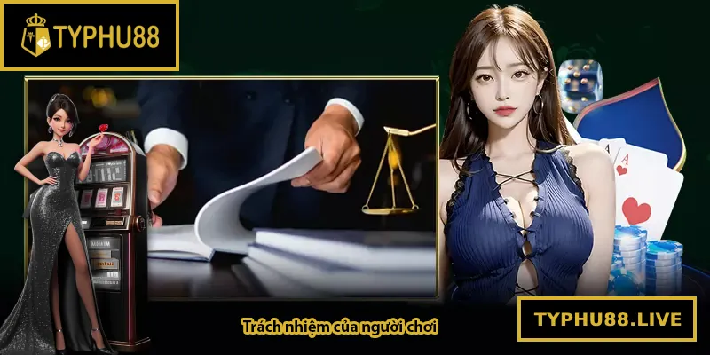 Người chơi chịu trách nhiệm như thế nào khi tham gia Typhu88?