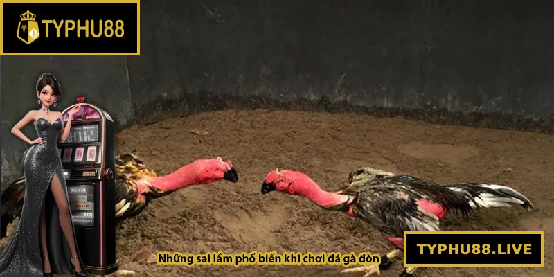 Những sai lầm phổ biến khi chơi đá gà đòn