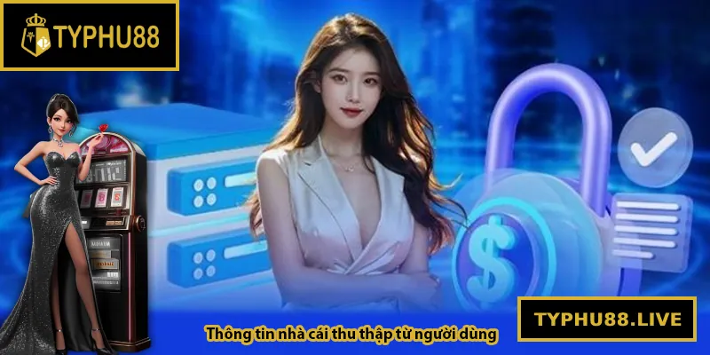 Những thông tin nhà cái thu thập từ người dùng