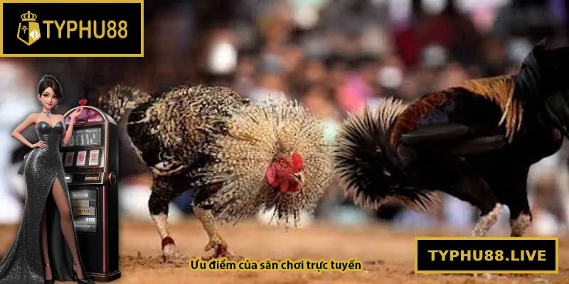 Ưu điểm của sân chơi trực tuyến Typhu88